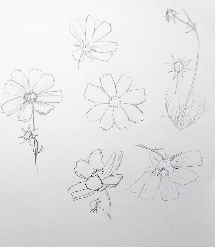 Aesthetic Spring Flower Sketch Collection 23330355 Vector Art at Vecteezy