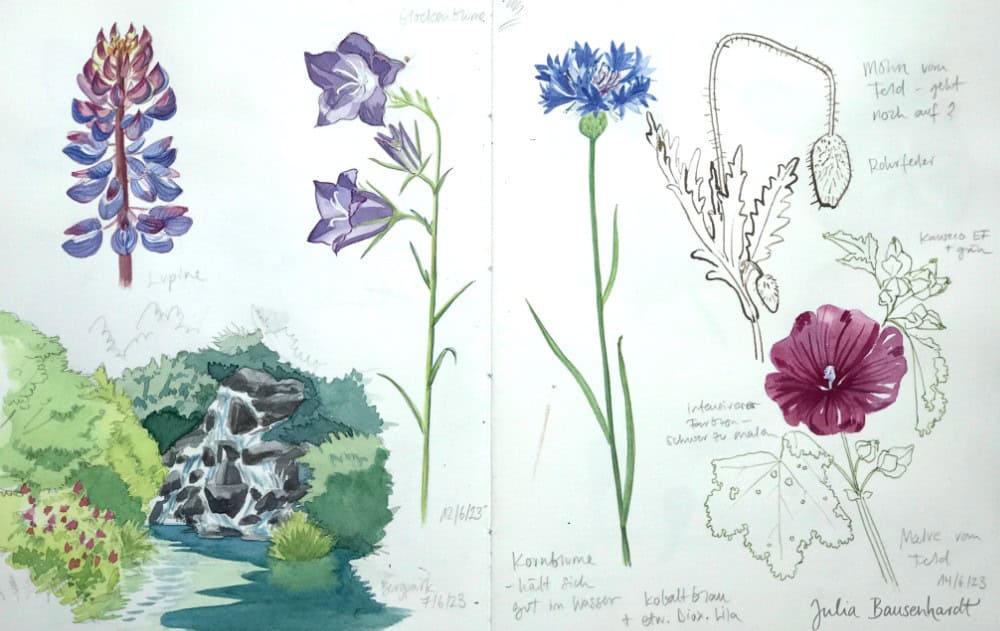 Drawing Nature - Flowers and Rocks Edition
