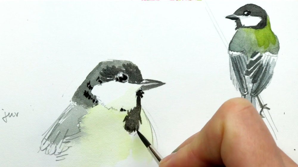 Sketching birds in digital drawing : r/learntodraw